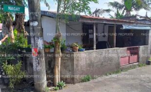 fil1520241001348