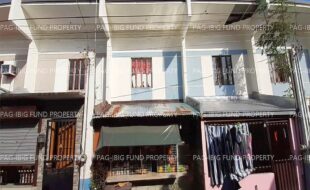 fil1520241001377