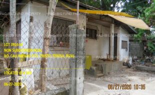 fil1520241001651