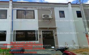 fil1520241002008