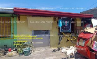 fil1520241002073