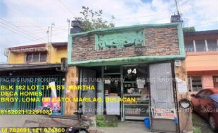 fil1520241002110