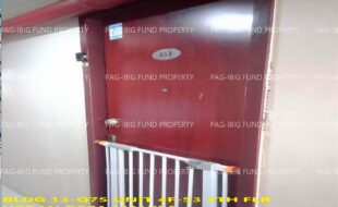 fil1520241002391