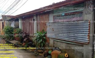 fil1520241002471