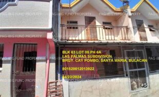 fil1520241002584