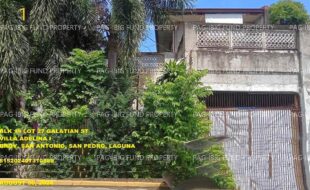 fil1520241002791