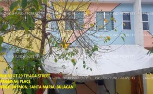 fil1520241003222