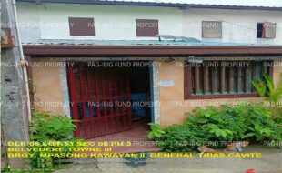 fil1520241003254