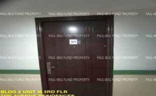 fil1520241003269