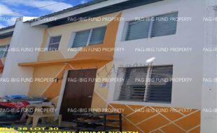 fil1520241003322