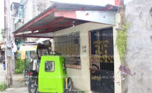 fil1520241003349