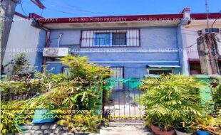 fil1520241003438