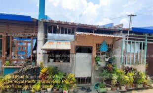 fil1520241003442