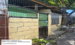 fil1520241003458