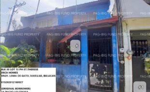 fil1520241003748