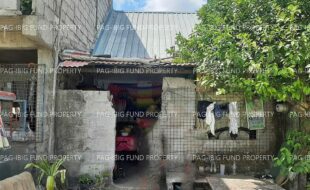 fil1520241004187