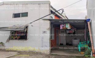 fil1520241004208