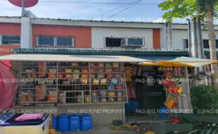 fil1520241004260