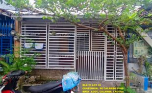 fil1520241004315