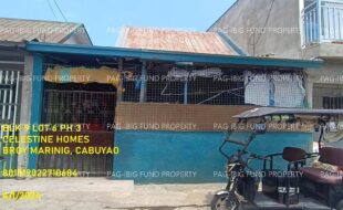 fil1520241004319