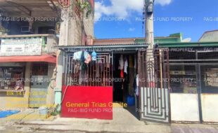fil1520241004501