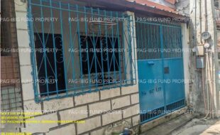 fil1520241004659