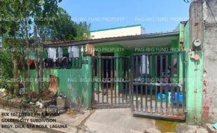 fil1520241004731
