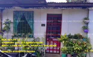 fil1520241004767