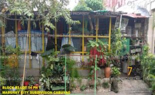 fil1520241004949