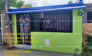fil1520241005038