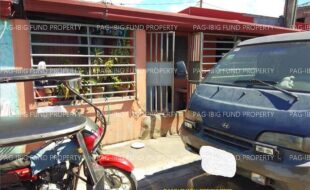 fil1520241005227