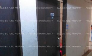 fil1520241007032