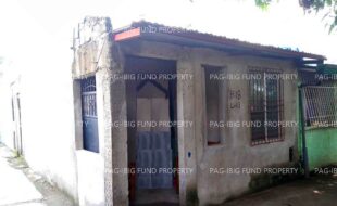 fil1520241007071