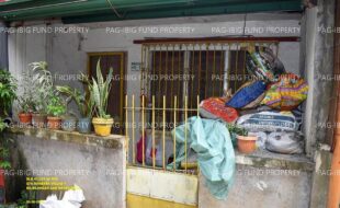 fil1520241007216