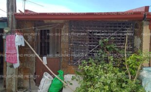 fil1520241007287