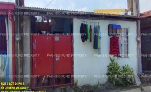 fil1520241007618