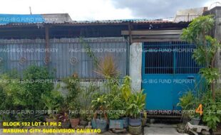 fil1520241007796