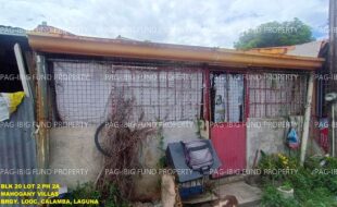 fil1520241008023