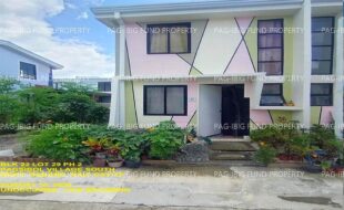 fil1520241008311