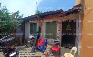 fil1520241008412
