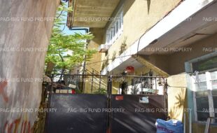 fil1520241008462