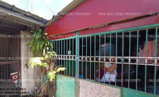 fil1520241008662