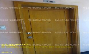 fil1520241008745