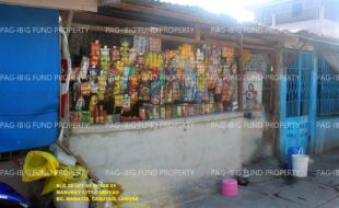 fil1520241008809