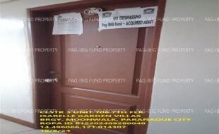 fil1520241010265