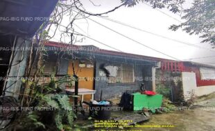 fil1520241015170