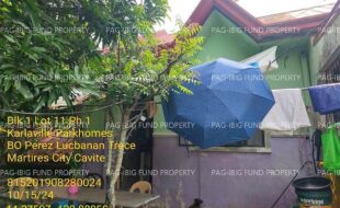 fil1520241016081
