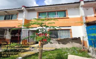 fil1520241017398