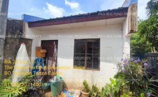 fil1520241018119