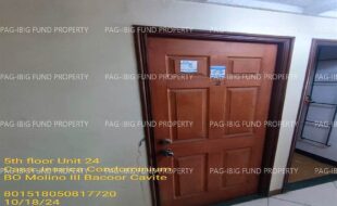 fil1520241019020
